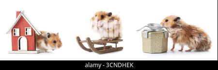 Collage des lustigen Hamsters mit Weihnachtsdekor auf weißem Hintergrund Stockfoto