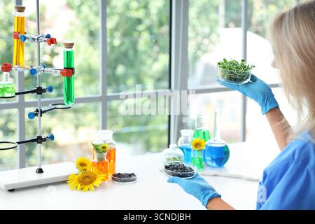 Wissenschaftlerin mit Probenkolben, Sonnenblumensamen und Sprossen im Labor Stockfoto