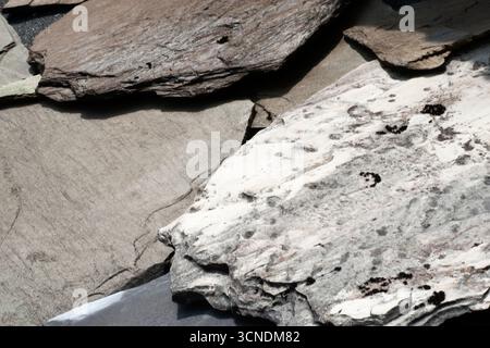 Steindachziegel, traditionelle Steinhütte. Campocatino, Alpi Apuane, Vagli, Lucca, Toskana, Italien. Stockfoto