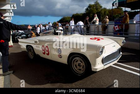 1957 Ford thunderbird 'Battlebird', gefahren von Bill Sheperd / Romain Dumas in der Freddie March Memorial Trophy beim Goodwood Revival 12h September 2025 Stockfoto
