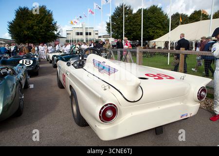 1957 Ford thunderbird 'Battlebird', gefahren von Bill Sheperd / Romain Dumas in der Freddie March Memorial Trophy beim Goodwood Revival 12h September 2025 Stockfoto