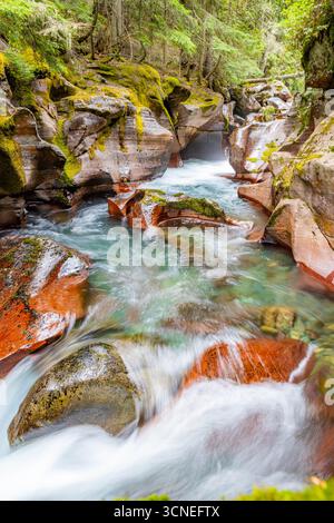 Ein malerischer Blick fängt die ruhige Schönheit des Avalanche Creek ein, der sich am Ausgangspunkt des Avalanche Lake im Glacier National Park befindet Stockfoto