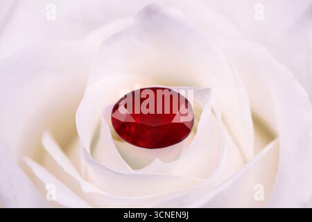 In der Mitte einer weißen Rose befindet sich ein roter Edelstein. Die Rose ist der Hauptfokus des Bildes, wobei der Edelstein die Aufmerksamkeit auf sich selbst lenkt Stockfoto