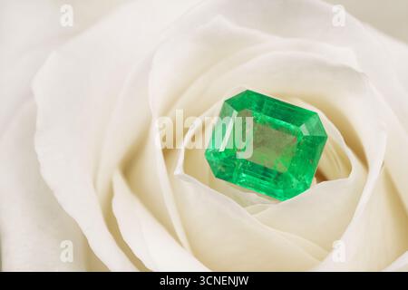 Ein grüner smaragdgrüner Ring steht auf einer weißen Rose. Der Ring ist der Mittelpunkt des Bildes, und die Rose dient als schöner und eleganter Hintergrund Stockfoto