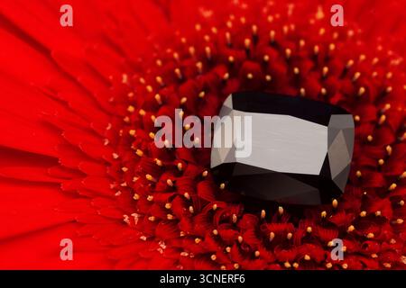 Ein schwarzer Edelstein sitzt auf einer roten Blume. Die Blume ist von vielen kleinen roten Blüten umgeben, und der Edelstein ist das einzige Objekt, das steht Stockfoto