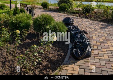 Schwarze Müllsäcke, die nach der Reinigung im Park auf dem Fußweg liegen gelassen wurden. Stockfoto