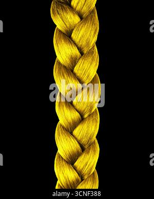 Ein langes gelbes Haargeflecht mit schwarzem Hintergrund. Das Haar ist Golden und er ist lang und dick Stockfoto