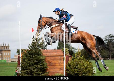 Woodstock, Oxon, Großbritannien. September 2025. Sebastien Cavaillon aus Frankreich reitet Elipso de La Vigne während des Cross Country bei der Agria FEI Eventing Europameisterschaft im Blenheim Palace am 20. September 2025, Woodstock, Vereinigtes Königreich (Foto: Maxime David - MXIMD Pictures) Credit: MXIMD Pictures/Alamy Live News Stockfoto