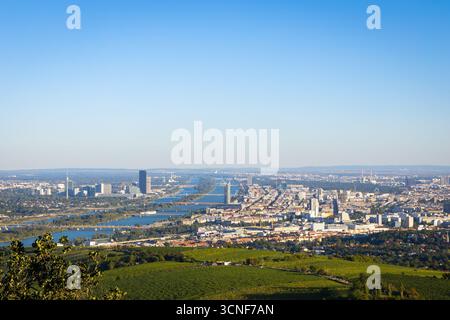 Panoramablick auf die Stadt Wien mit der Donau Stockfoto