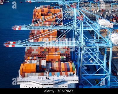 Vado Ligure, Italien - 20. September 2025: Luftaufnahme des Containerhafens. Buntes Muster von Containern im Hafen. Seeverkehrslogistik Stockfoto