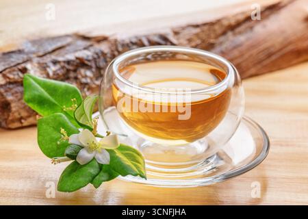 Grüner Jasmintee in klarer Tasse auf Holztisch Stockfoto