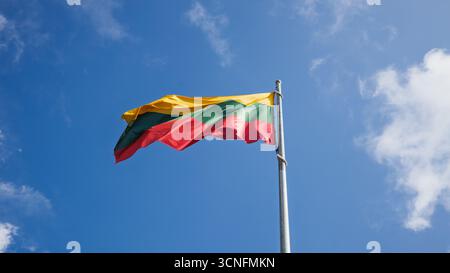Die litauische Nationalflagge winkt auf dem Pole Stockfoto