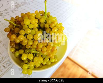 Ein großer, frischer Haufen reifer weißer Trauben (möglicherweise „Kishmish“ oder „Lady's Fingers“) auf einem Teller, beleuchtet durch sanftes Fensterlicht. Stockfoto