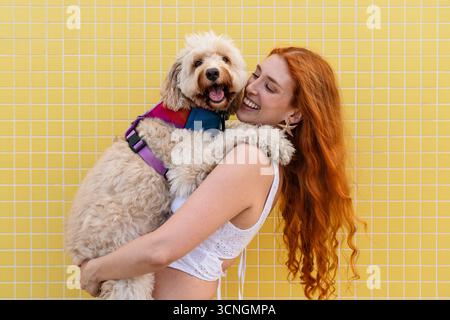 Rothaarige Frau, die glücklich ihren liebenswerten Doodle-Hund umhüllt, beide lächeln mit geschlossenen oder offenen Augen, stehend vor einer hellgelb gekachelten Wand Stockfoto