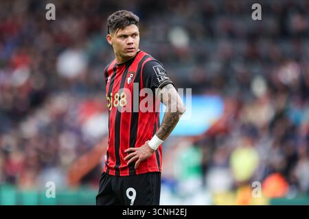 Vitality Stadium, Boscombe, Dorset, Großbritannien. September 2025. Premier League Football, AFC Bournemouth gegen Newcastle United; Evanilson vom AFC Bournemouth Credit: Action Plus Sports/Alamy Live News Stockfoto