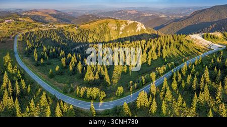 Aus der Vogelperspektive auf einer schmalen Asphaltstraße, die durch dichten Kiefernwald und sanfte Hügel führt, in goldenes Licht getaucht Stockfoto
