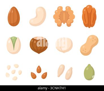 Symbolsatz für Nüsse und Samen. Mandel, Walnuss, Pistazien, Haselnüsse, Macadamia, Pekan, Cashew. Einfache Zeichentricksymbole, isolierte Vektorgrafik Illustration. Stock Vektor