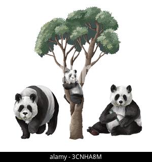 Detaillierte isolierte Panda Trio umgeben von tropischen Dschungel Laubpflanzen Vektor-Illustration Stock Vektor
