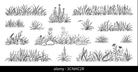 Gras-Kritzelei. Von Hand gezogene Wiese, Klingenbusch Gartenstruktur oder kleiner Rasenbüschel. Schwarze Zeichnung im Skizzenstil, weißes Blumenkraut. Dekorativer botanischer Rand. Vektor Natur Landschaft isoliert Set Stock Vektor