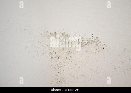 Form auf dem Wandhintergrund Stockfoto