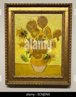 Van Goghs Gemälde mit Sonnenblumen gehören zu seinen berühmtesten. In den Jahren 1888 und 1889 malte Vincent insgesamt fünf große Leinwände mit Sonnenblumen in einer Vase , drei Gelbtöne und nichts anderes . Auf diese Weise zeigte er , dass es möglich war , ein Bild mit zahlreichen Variationen einer einzigen Farbe ohne Eloquenzverlust zu erzeugen . Stockfoto