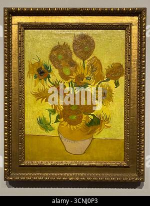 Van Goghs Gemälde mit Sonnenblumen gehören zu seinen berühmtesten. In den Jahren 1888 und 1889 malte Vincent insgesamt fünf große Leinwände mit Sonnenblumen in einer Vase , drei Gelbtöne und nichts anderes . Auf diese Weise zeigte er , dass es möglich war , ein Bild mit zahlreichen Variationen einer einzigen Farbe ohne Eloquenzverlust zu erzeugen . Stockfoto