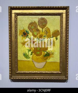 Van Goghs Gemälde mit Sonnenblumen gehören zu seinen berühmtesten. In den Jahren 1888 und 1889 malte Vincent insgesamt fünf große Leinwände mit Sonnenblumen in einer Vase , drei Gelbtöne und nichts anderes . Auf diese Weise zeigte er , dass es möglich war , ein Bild mit zahlreichen Variationen einer einzigen Farbe ohne Eloquenzverlust zu erzeugen . Stockfoto