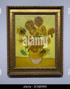 Van Goghs Gemälde mit Sonnenblumen gehören zu seinen berühmtesten. In den Jahren 1888 und 1889 malte Vincent insgesamt fünf große Leinwände mit Sonnenblumen in einer Vase , drei Gelbtöne und nichts anderes . Auf diese Weise zeigte er , dass es möglich war , ein Bild mit zahlreichen Variationen einer einzigen Farbe ohne Eloquenzverlust zu erzeugen . Stockfoto