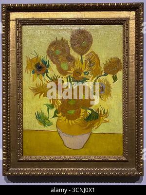 Van Goghs Gemälde mit Sonnenblumen gehören zu seinen berühmtesten. In den Jahren 1888 und 1889 malte Vincent insgesamt fünf große Leinwände mit Sonnenblumen in einer Vase , drei Gelbtöne und nichts anderes . Auf diese Weise zeigte er , dass es möglich war , ein Bild mit zahlreichen Variationen einer einzigen Farbe ohne Eloquenzverlust zu erzeugen . Stockfoto