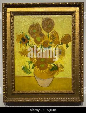 Van Goghs Gemälde mit Sonnenblumen gehören zu seinen berühmtesten. In den Jahren 1888 und 1889 malte Vincent insgesamt fünf große Leinwände mit Sonnenblumen in einer Vase , drei Gelbtöne und nichts anderes . Auf diese Weise zeigte er , dass es möglich war , ein Bild mit zahlreichen Variationen einer einzigen Farbe ohne Eloquenzverlust zu erzeugen . Stockfoto