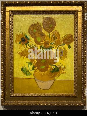 Van Goghs Gemälde mit Sonnenblumen gehören zu seinen berühmtesten. In den Jahren 1888 und 1889 malte Vincent insgesamt fünf große Leinwände mit Sonnenblumen in einer Vase , drei Gelbtöne und nichts anderes . Auf diese Weise zeigte er , dass es möglich war , ein Bild mit zahlreichen Variationen einer einzigen Farbe ohne Eloquenzverlust zu erzeugen . Stockfoto