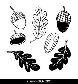 Eicheln und Eichenblätter. Umrandung von Schwarzweiß-Vektorelementen. Stock Vektor