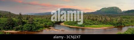 Ein Fluss fließt sanft durch lebendige grüne Wälder im Gros Morne National Park in Neufundland und schafft eine friedliche Atmosphäre in der Natur. Stockfoto