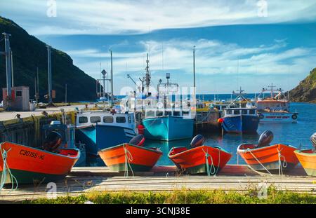 Farbenfrohe Fischerboote liegen im York Harbor, Neufundland, umgeben von felsigen Klippen. Die Sonne scheint und schafft eine friedliche Atmosphäre Stockfoto
