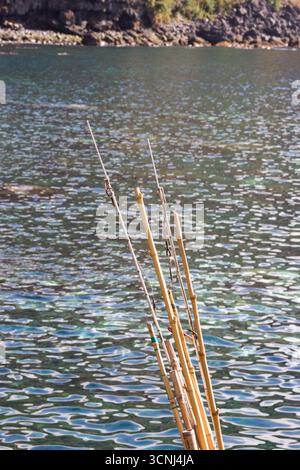 Riviera Brava Harbour, Madeira Island, Portugal, Nordatlantik Stockfoto