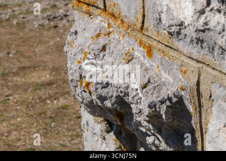 Detaillierte Makroansicht einer verwitterten grauen Felsmauer mit orangefarbenen Flechten und weißen Mineralstreifen, die natürliche Risse, raue Steinstruktur und Erosi zeigt Stockfoto