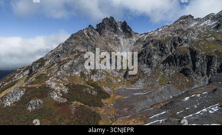 Anden auf dem Weg zum Lanin Vulkan Stockfoto