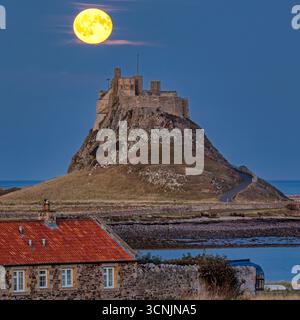 Der Corn Moon Full Moon erhebt sich in einen klaren Himmel über Lindisfarne Castle auf der heiligen Insel lindisfarne in Northumberland Stockfoto