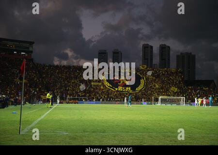 Recife, Brasilien. September 2025. PE - RECIFE - 09/21/2025 - BRAZILIAN A 2025, SPORT x CORINTHIANS - Fans beim Spiel zwischen Sport und Corinthians in Ilha do Retiro in Recife (PE), für die brasilianische Meisterschaft A 2025. Foto: Marlon Costa/AGIF (Foto: Marlon Costa/AGIF/SIPA USA) Credit: SIPA USA/Alamy Live News Stockfoto