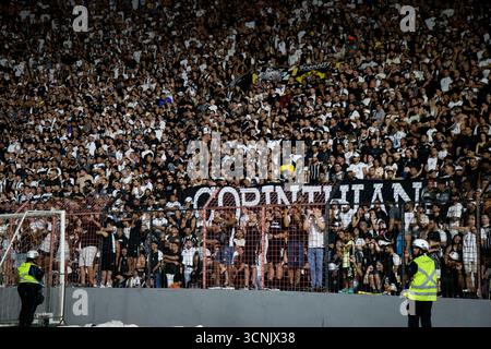 Recife, Brasilien. September 2025. PE - RECIFE - 09/21/2025 - BRAZILIAN A 2025, SPORT x CORINTHIANS - Fans beim Spiel zwischen Sport und Corinthians in Ilha do Retiro in Recife (PE), für die brasilianische Meisterschaft A 2025. Foto: Marlon Costa/AGIF (Foto: Marlon Costa/AGIF/SIPA USA) Credit: SIPA USA/Alamy Live News Stockfoto