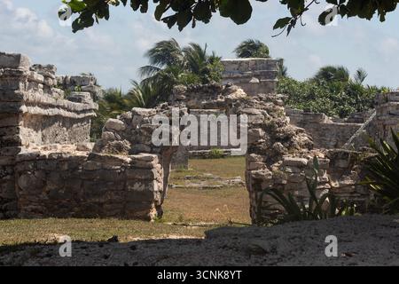 In der Nähe eines wunderschönen antiken Eingangs zu einem maya-Komplex Gebäude an sonnigen Tagen in der archäologischen Zone von tulum Stockfoto