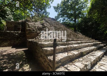 Ganz in der Nähe der alten maya-Treppe eines großen Tempels mitten im mexikanischen Dschungel in die archäologische Zone von coba Stockfoto