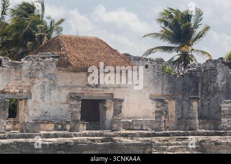 Aus nächster Nähe sehen Sie die wunderschönen Details eines alten maya-Gebäudes, das als Halach Uinik Haus in der archäologischen Zone von tulum bekannt ist Stockfoto