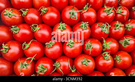 Tomaten im Supermarkt. Bereit zum Verkauf. Gesunde Ernährung. Gelbe und rote Kirschtomaten. Stockfoto