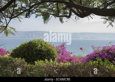 Israel Galiläa Blick auf den Tibériade-See (Meer von ​​Galilee) und die Golanhöhen vom Seligpreisungen; Blick vom Berg der Seligpreisungen Stockfoto