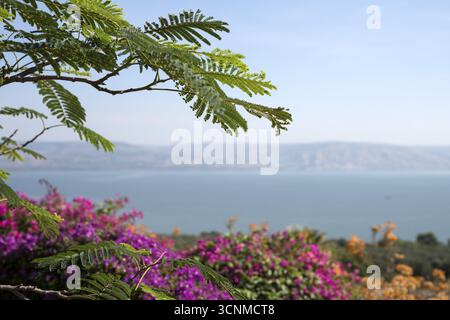 Israel Galiläa Blick auf den Tibériade-See (Meer von ​​Galilee) und die Golanhöhen vom Seligpreisungen; Blick vom Berg der Seligpreisungen Stockfoto