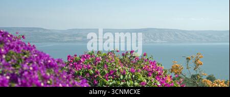 Israel Galiläa Blick auf den Tibériade-See (Meer von ​​Galilee) und die Golanhöhen vom Seligpreisungen; Blick vom Berg der Seligpreisungen Stockfoto