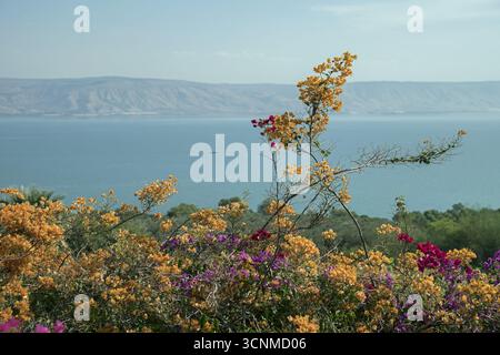 Israel Galiläa Blick auf den Tibériade-See (Meer von ​​Galilee) und die Golanhöhen vom Seligpreisungen; Blick vom Berg der Seligpreisungen Stockfoto