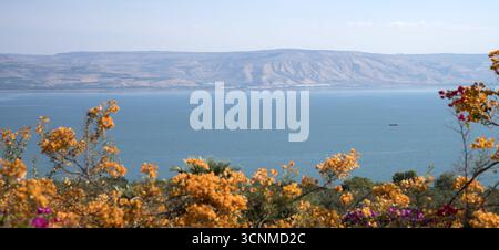 Israel Galiläa Blick auf den Tibériade-See (Meer von ​​Galilee) und die Golanhöhen vom Seligpreisungen; Blick vom Berg der Seligpreisungen Stockfoto
