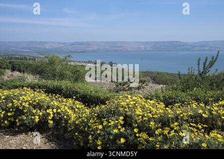 Israel Galiläa Blick auf den Tibériade-See (Meer von ​​Galilee) und die Golanhöhen vom Seligpreisungen; Blick vom Berg der Seligpreisungen Stockfoto